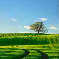 专‌业﻿百‌度‌SEO方﻿法﻿